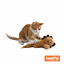 Tootoy! Interactive & Stimulate Le&atilde;o de peluche com catnip para gato, , large Indicador imagem n&uacute;mero 10