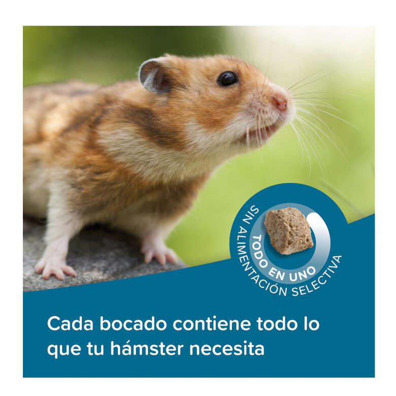700 g Beaphar Care+ Ração para hámsteres,  Imagem número 4 700 g Beaphar Care+ Ração para hámsteres, , large Imagem número 4