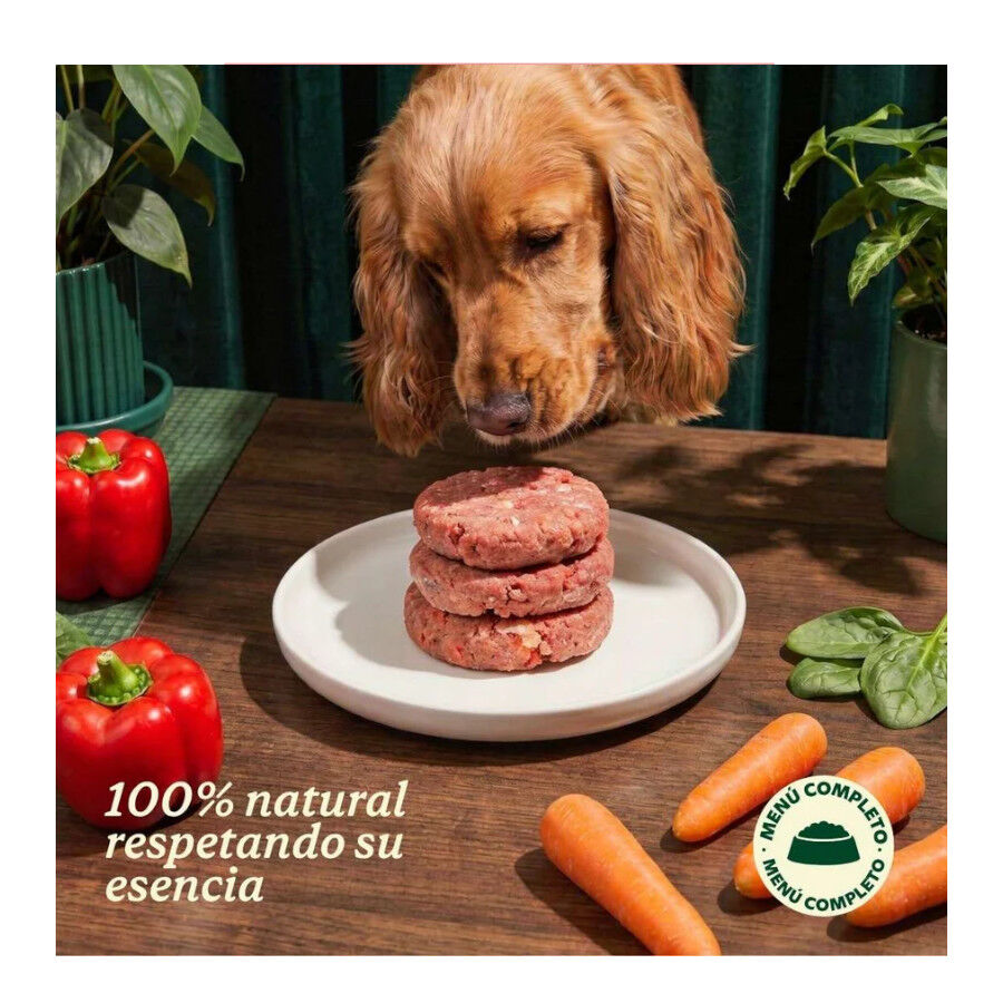 1 kg Wild Balance BARF Salm&atilde;o com Legumes Frescos alimenta&ccedil;&atilde;o natural congelada para c&atilde;es, , large Imagem n&uacute;mero 3
