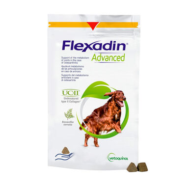 Vetoquinol Flexadin Advanced Condroprotetor para cães