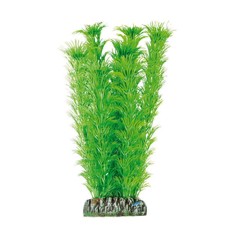 ICA Aquatic Plants Ambulia planta artificial para aquários,  Imagem número 1 ICA Aquatic Plants Ambulia planta artificial para aquários, , large Imagem número 1