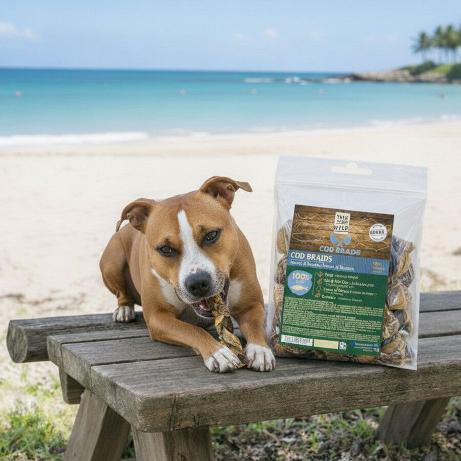 70 g. True Origins Trenzas Piel Bacalao Snack para perros, , large Imagem n&uacute;mero 1