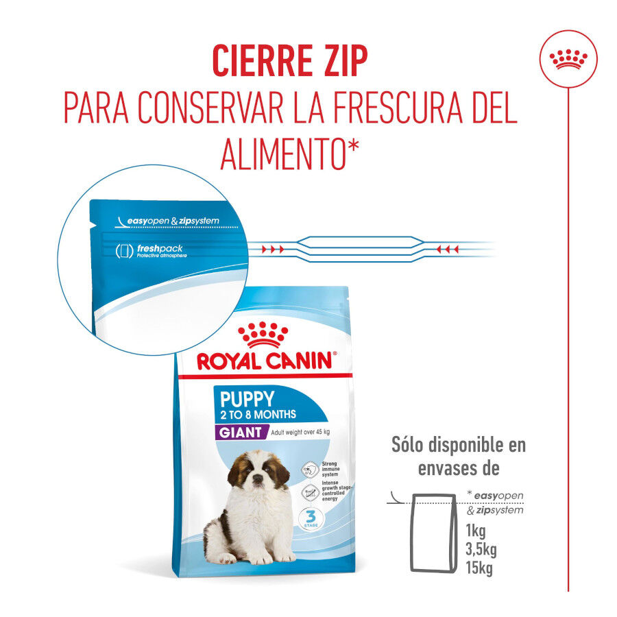 15 kg Royal Canin Puppy Giant ra&ccedil;&atilde;o para c&atilde;es, , large Imagem n&uacute;mero 9