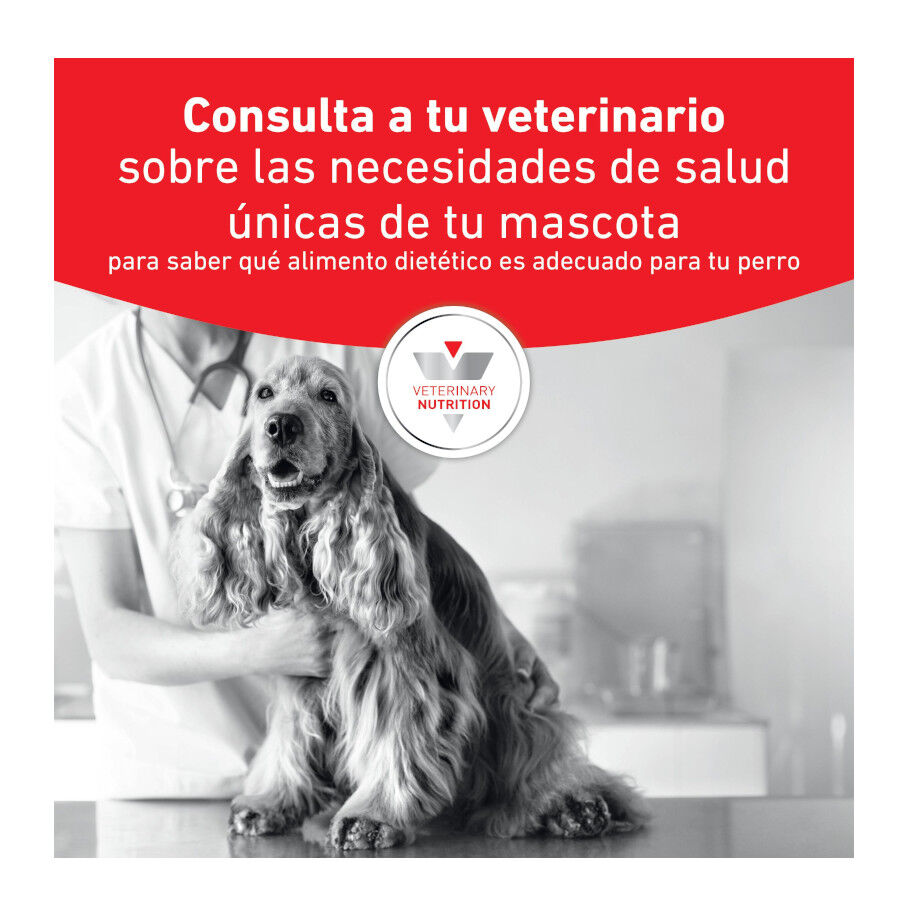 400 g Royal Canin Veterinary Diet Gastrointestinal lata para c&atilde;es, , large Imagem n&uacute;mero 3