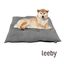 Leeby Almofada Acolchoada de Veludo Cinzenta para cães, , large Indicador imagem número 2