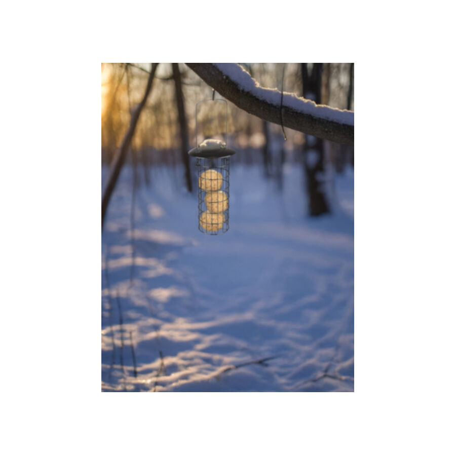 Flamingo Alimentador Suporte para bolas de gordura de p&aacute;ssaros, , large Imagem n&uacute;mero 2