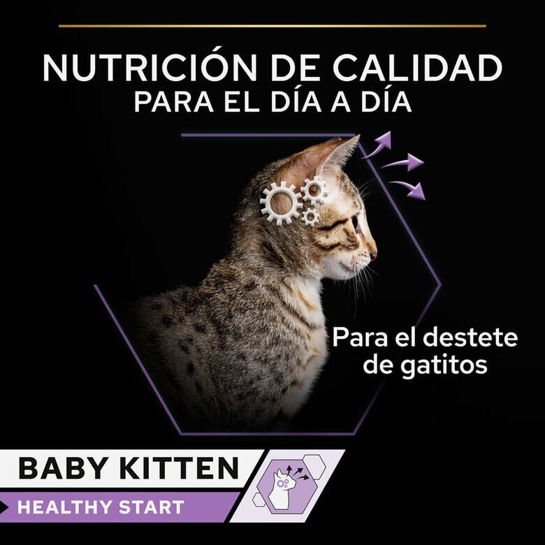 85 g Purina Pro Plan Baby Kitten Mousse lata, , large Imagem n&uacute;mero 3