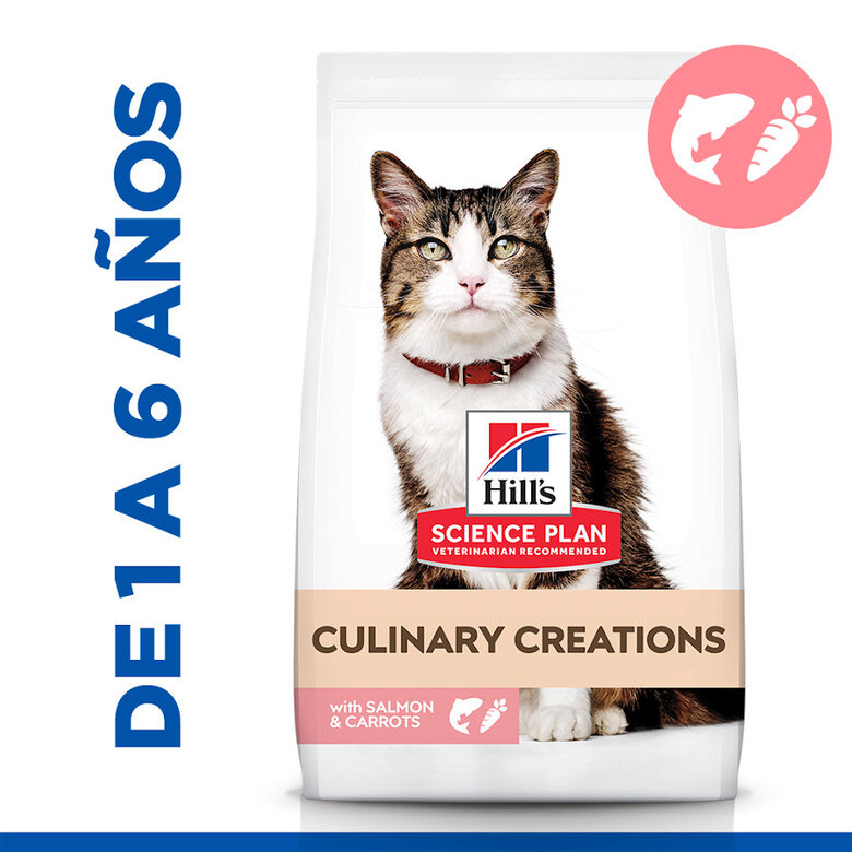 10 kg Hill's Science Plan Culinary Creations Ração de salmão e cenoura para gatos,  Imagem número 2 10 kg Hill's Science Plan Culinary Creations Ração de salmão e cenoura para gatos, , large Imagem número 2