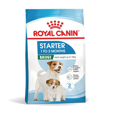 Royal Canin Mini Starter Mother&Baby ração para cães