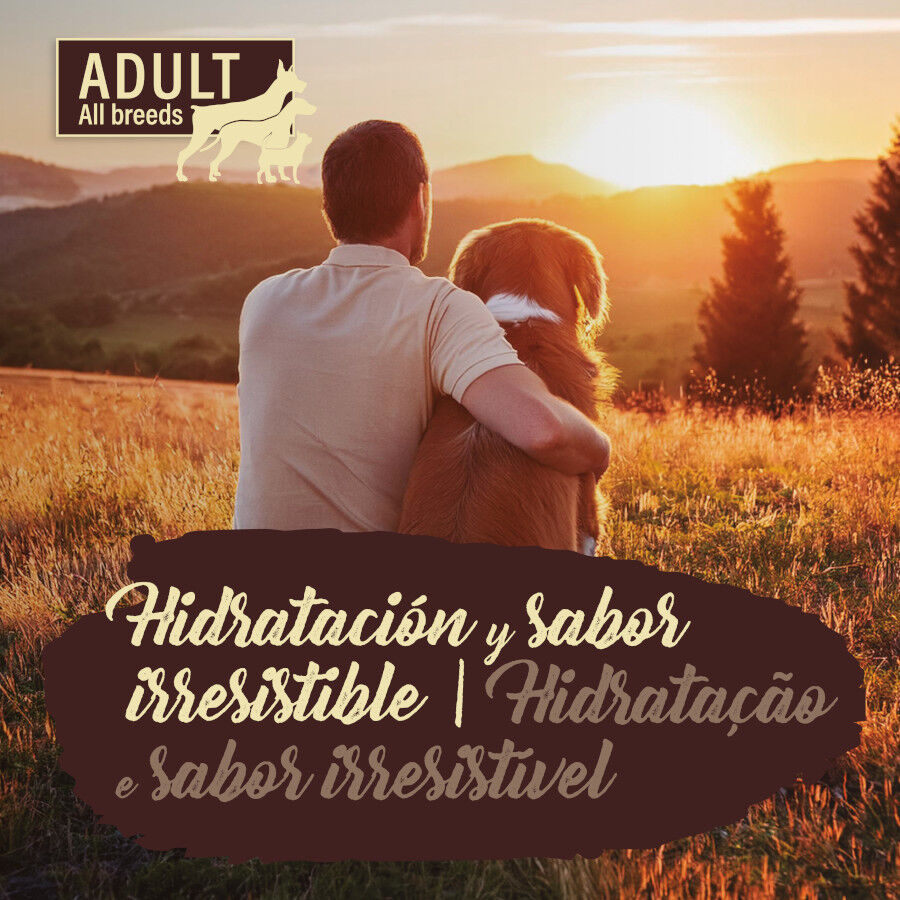 True Origins Pure Comida h&uacute;mida de peru com cenoura em saqueta para c&atilde;es , , large Imagem n&uacute;mero 4