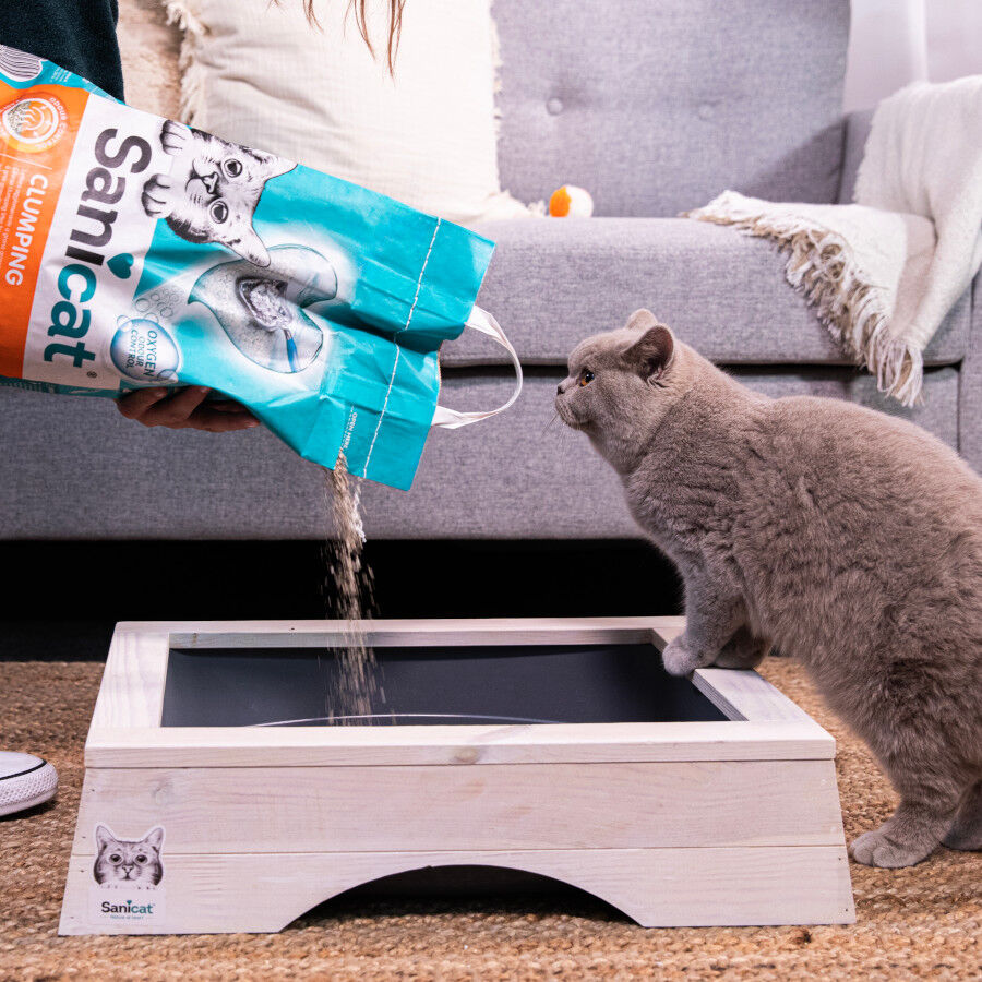 8 L Sanicat Areia Aglomerante Baunilha e Tangerina para gatos, , large Imagem n&uacute;mero 6