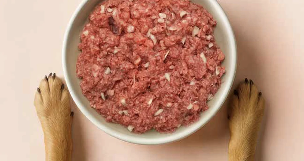 Comida natural cozinhada e congelada com ingredientes frescos