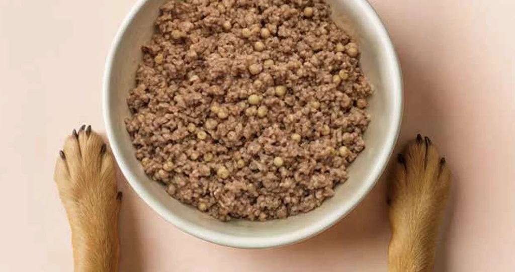 Comida natural BARF congelada em cru