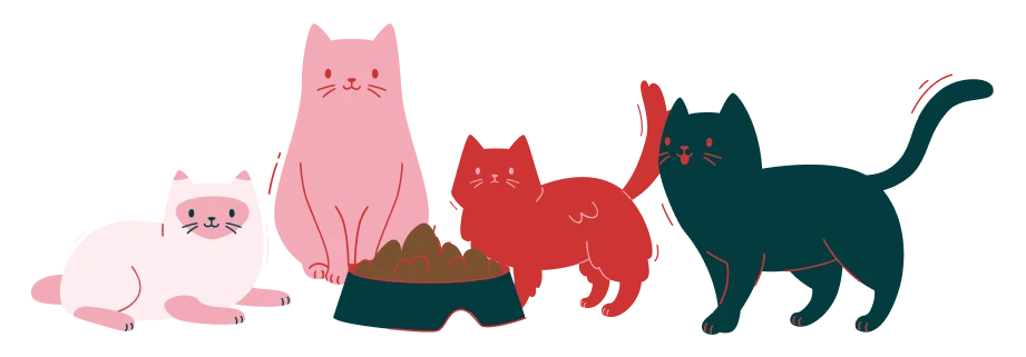 Gato com comida natural congelada