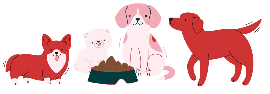 Cão com comida natural congelada