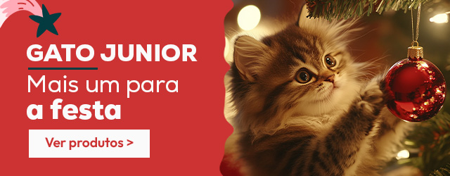 Gato junior: Mais um para a festa