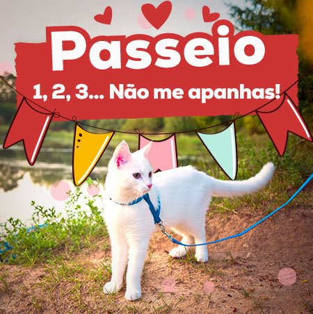 Promoções produtos de passeio