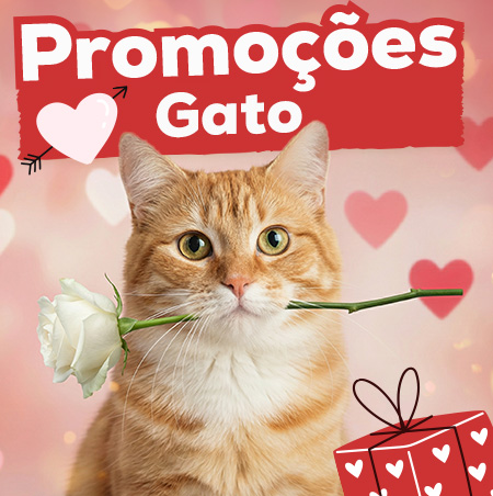 Promoções para gato