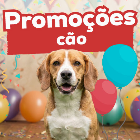 Promoções para cão