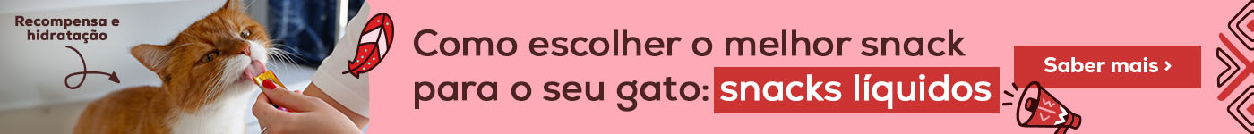 Como escolher o melhor snack para o seu gato