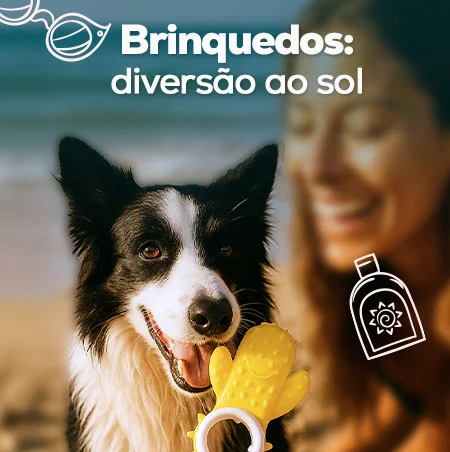 Brinquedos