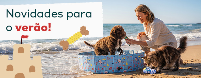 Descubra as novidades de agosto