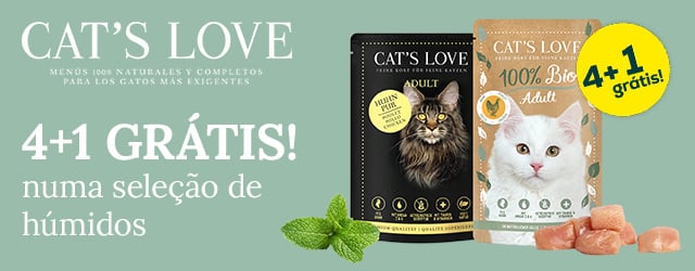 Cat's Love
