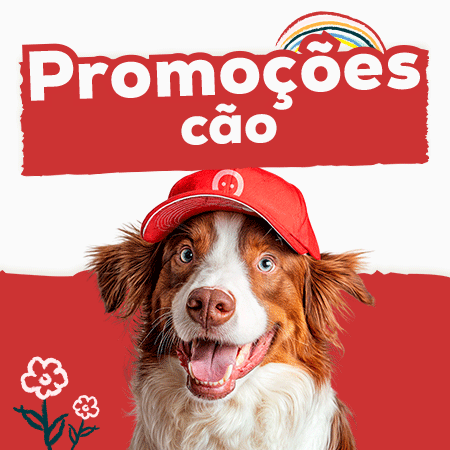 Promoções cão