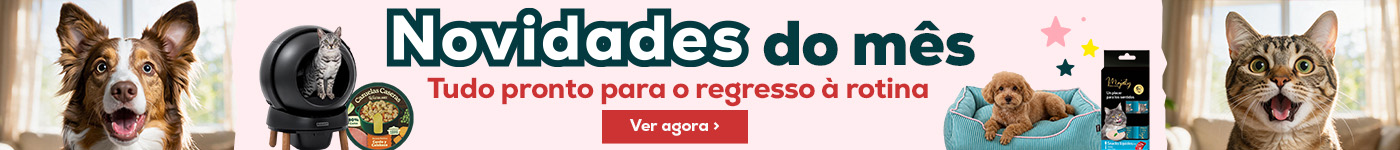 Descubra as novidades de setembro
