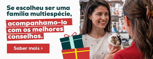 Famílias multiespécies: Acompanhamos-no com os melhores conselhos