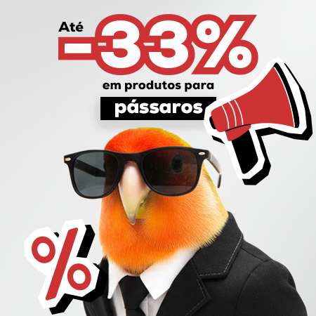 Pássaros