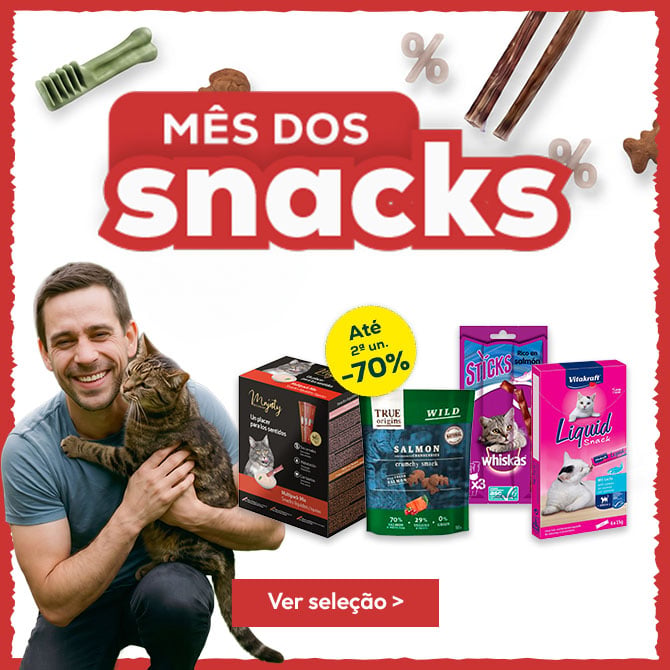 Mês dos snacks para gatos