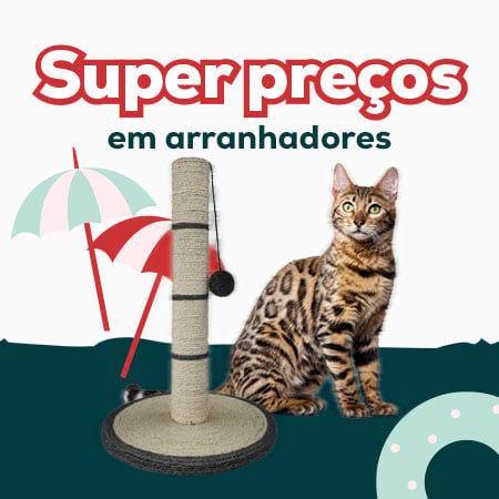 Super preços numa seleção de arranhadores