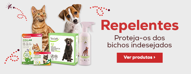 Acess rios para passeio de c es Kiwoko