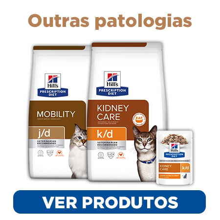 Uma nutrição clínica para gatos com doenças comuns (e não tão comuns) 