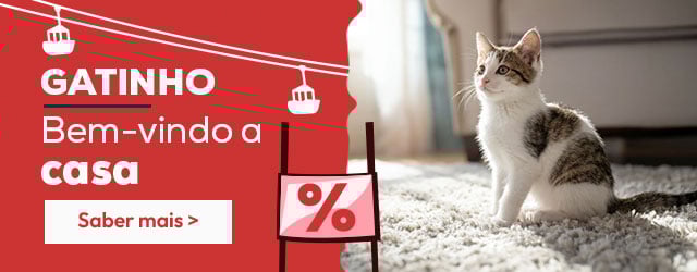 Catálogo gatinho: Tudo o que precisa para lhe dar as boas-vindas