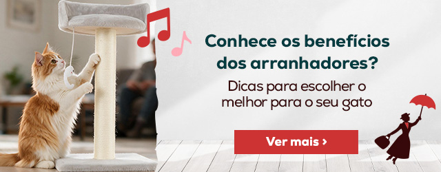 Como escolher o melhor arranhador para o seu gato