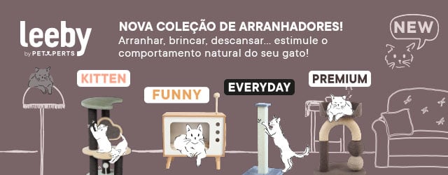 LEEBY: Novidade em arranhadores