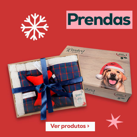 Caixas de presente para o Natal