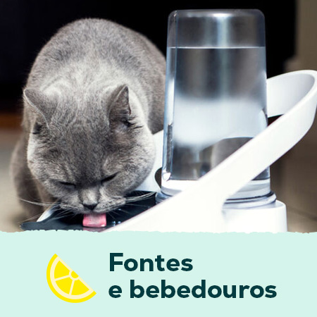 Fontes e bebedouros para cães e gatos