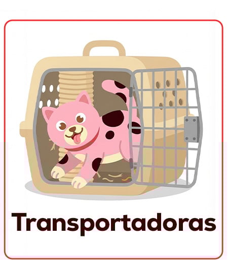 Transportadoras e viagem para idas ao veterinário ou primeiras viagens juntos