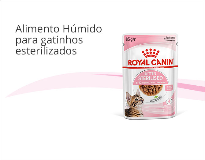 Royal Canin Kitten Sterilised alimentação húmida em molho