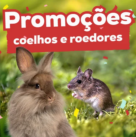 Promoções em coelhos e roedores