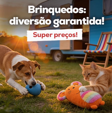 Diversão garantida: Super preços numa seleção de brinquedos