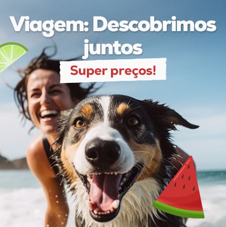 Vamos descobrir juntos!: Super preços em artigos de viagem
