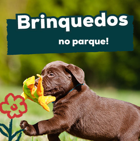 Promoções em brinquedos