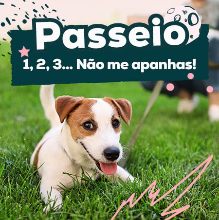 Promoções produtos de passeio