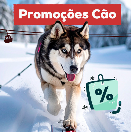 Promoções para cão