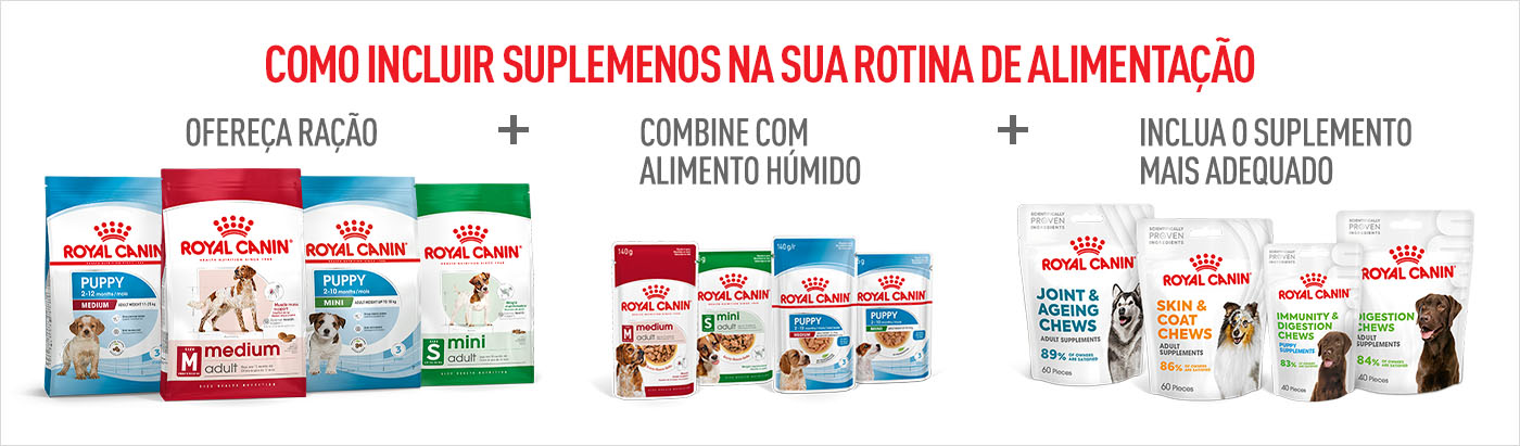 Como incluir os suplementos na rotina diária? Ofereça ração + alimento húmido + suplemento adequado à necessidade