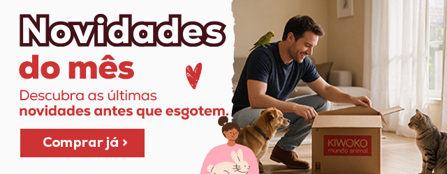 Descubra as novidades de outubro